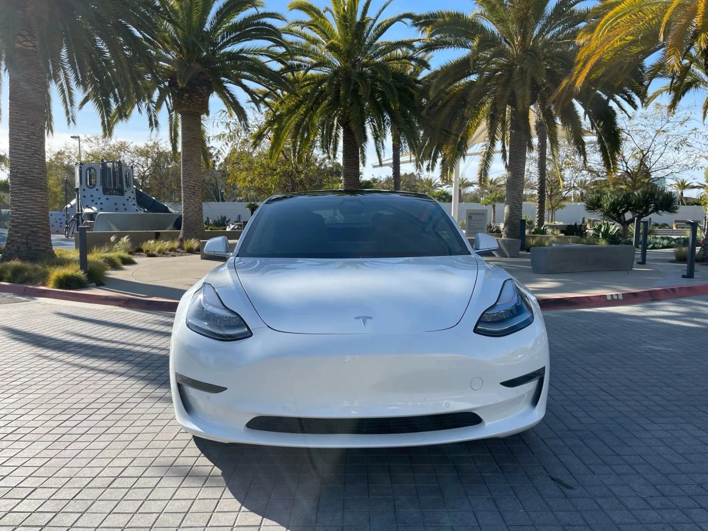 Used 2020 Tesla Model 3 Standard Range Plus RWD image 3