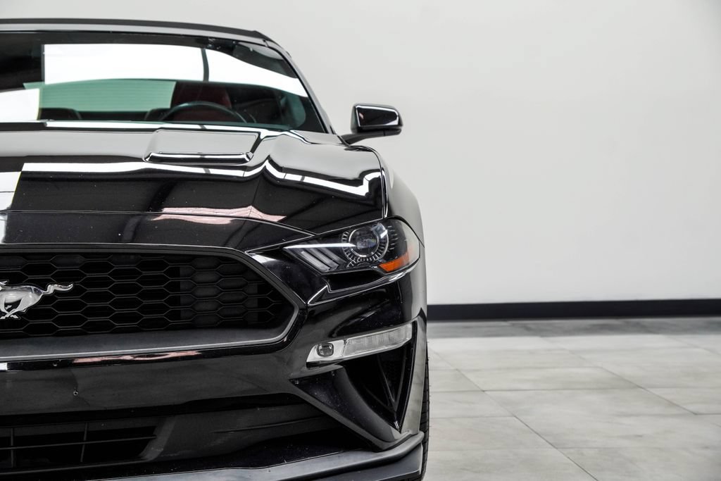 Used 2019 Ford Mustang Premium w/ Equipment Group 201A RWD image 4