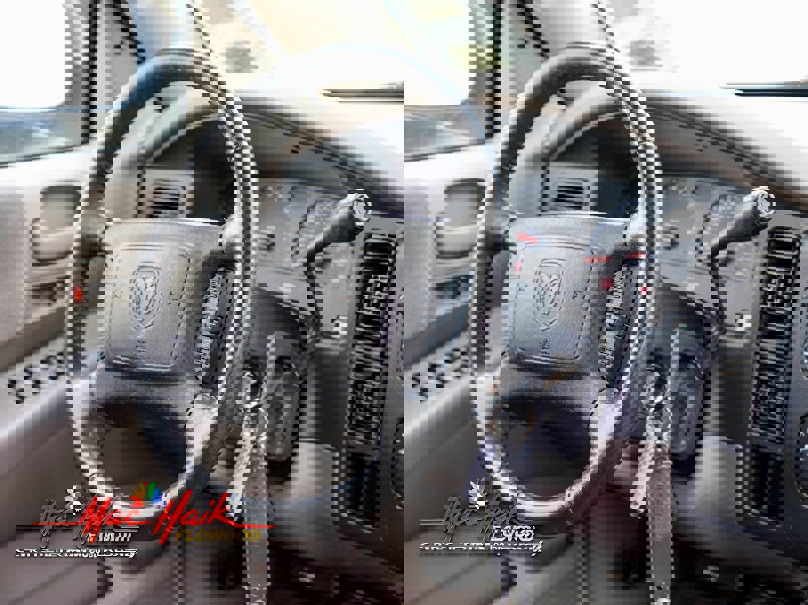 Used 2003 Dodge Dakota SLT image 12