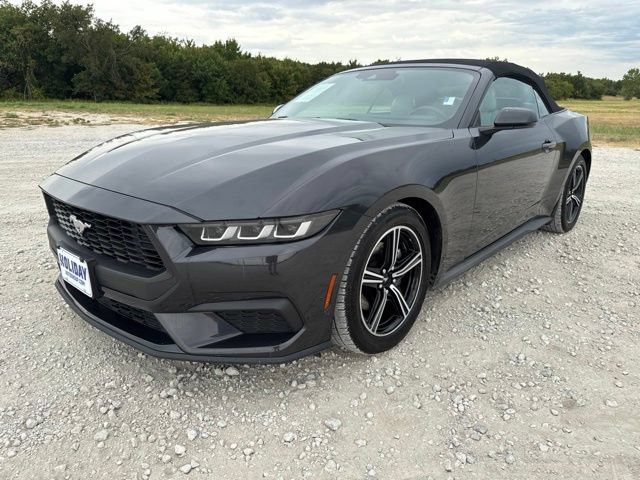Used 2024 Ford Mustang Premium