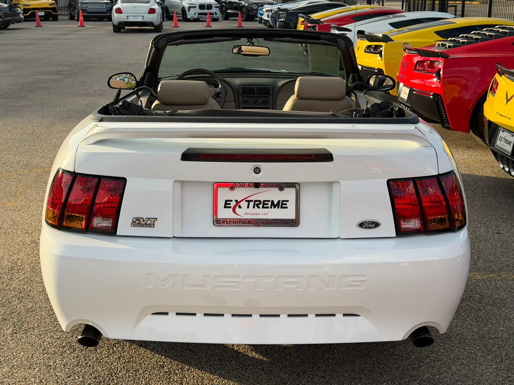 Used 1999 Ford Mustang Cobra RWD image 3