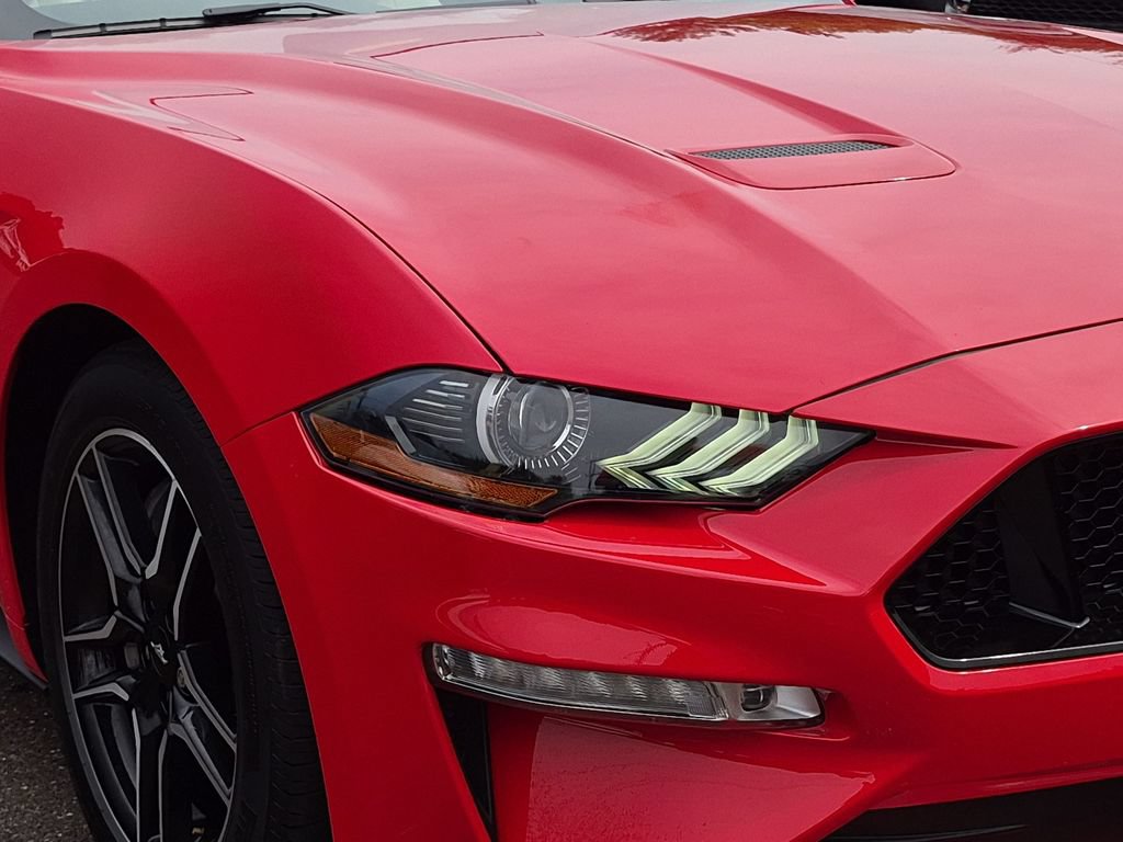 Certified 2019 Ford Mustang GT Premium w/ Ford Safe & Smart Package RWD image 17
