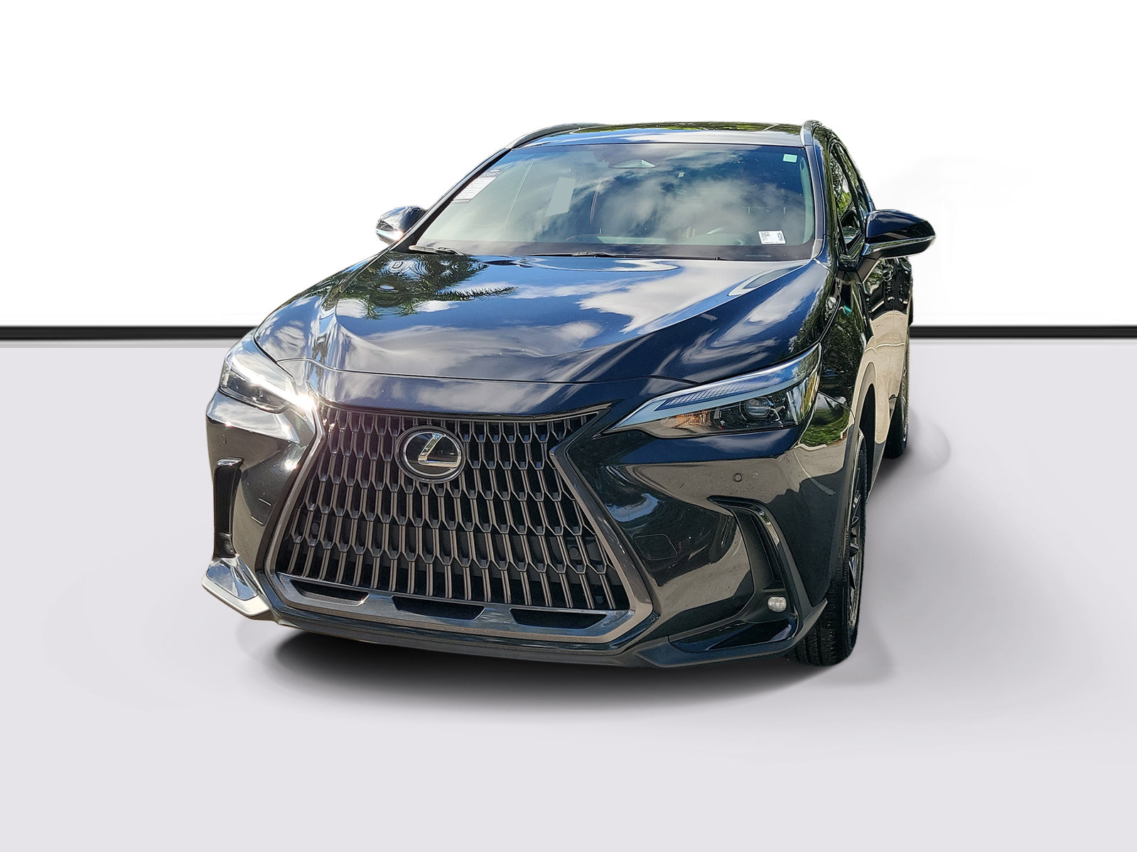 Used 2025 Lexus NX 250 FWD w/ Cold Area Package image 2