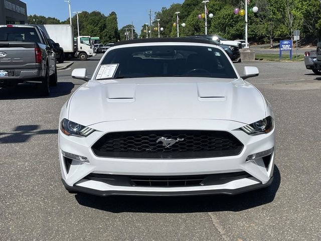Certified 2019 Ford Mustang Premium w/ Equipment Group 201A image 8