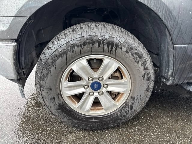 Used 2019 Ford F150 XLT w/ Equipment Group 301A Mid AWD/4WD image 5