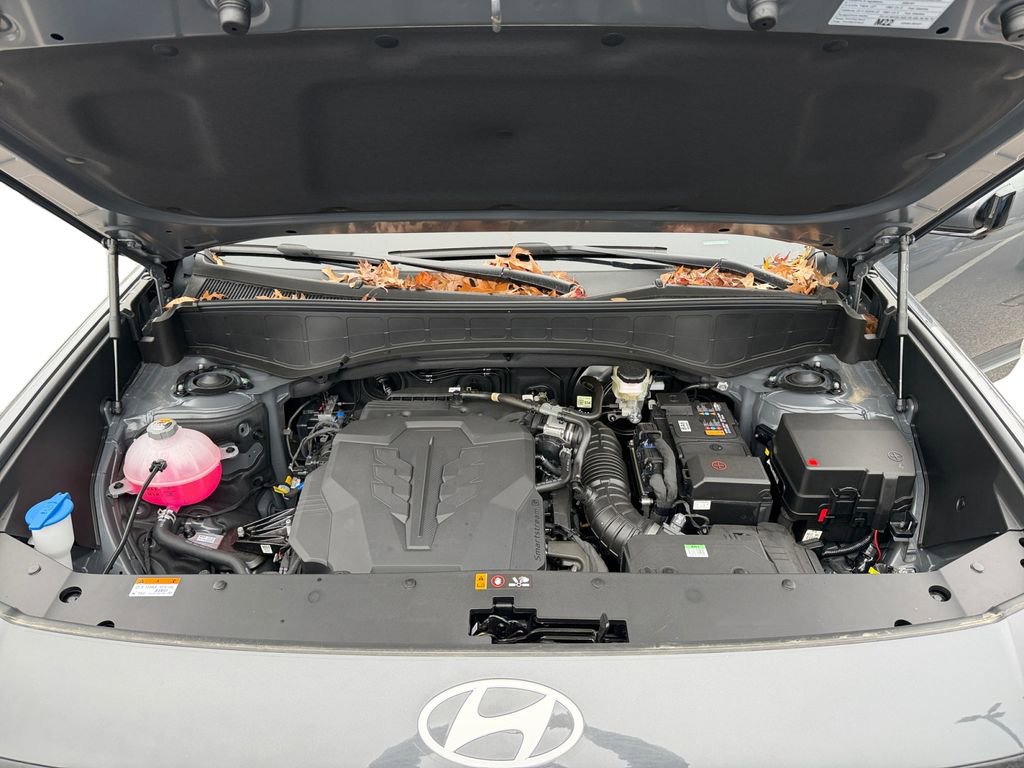 New 2026 Hyundai Palisade Calligraphy image 20