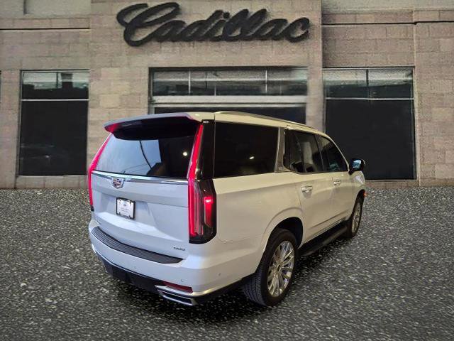 Used 2024 Cadillac Escalade Premium Luxury AWD/4WD image 5