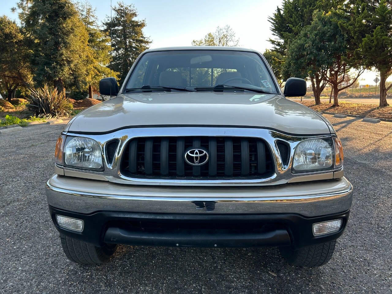 Used 2003 Toyota Tacoma PreRunner image 6