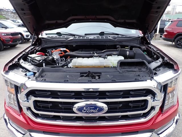 Used 2021 Ford F150 XLT w/ Equipment Group 302A High image 15