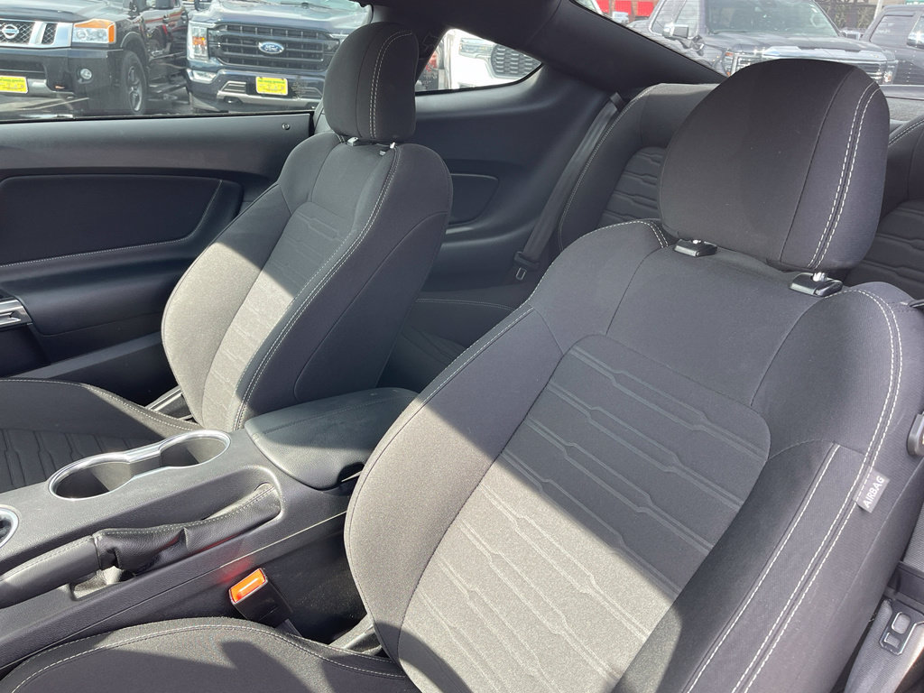 Used 2021 Ford Mustang Mach 1 RWD image 12