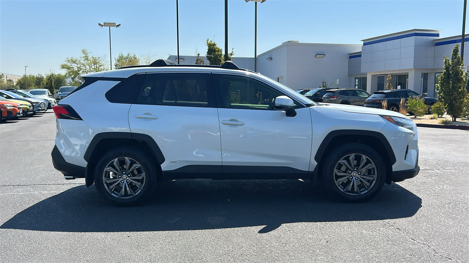 Used 2024 Toyota RAV4 XLE Premium w/ Weather Package AWD/4WD image 4