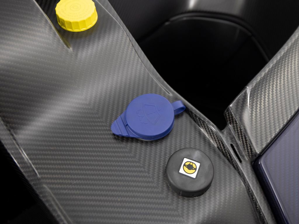 Used 2019 McLaren Senna image 77