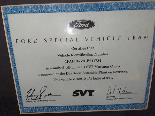 Used 2001 Ford Mustang Cobra RWD image 2