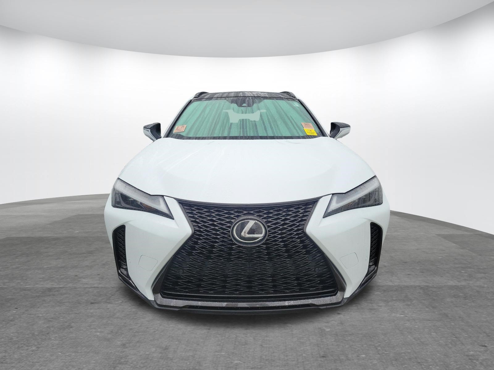 Used 2023 Lexus UX 250h F Sport AWD/4WD image 2
