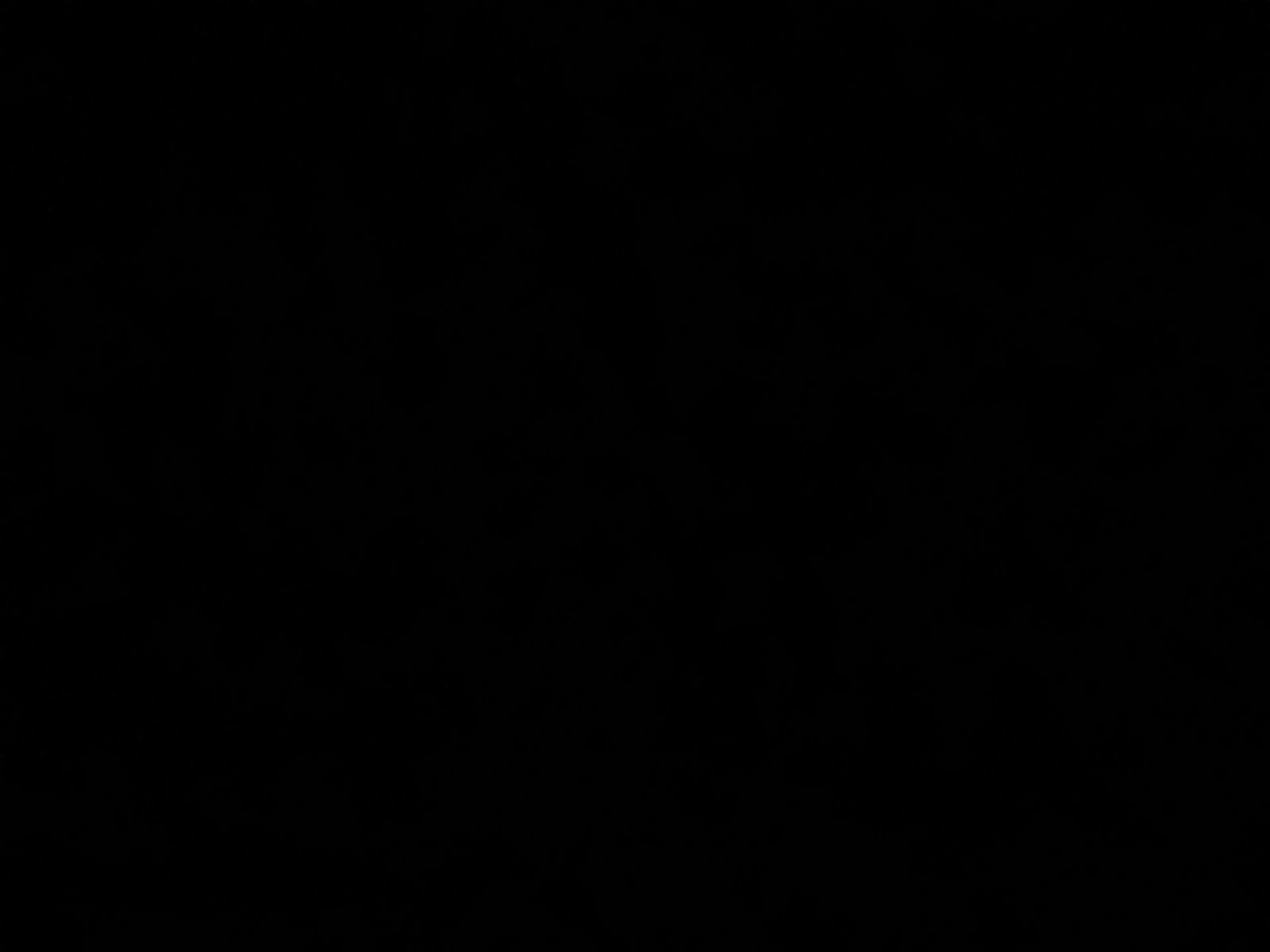 Used 2024 INFINITI Q50 Sensory image 9