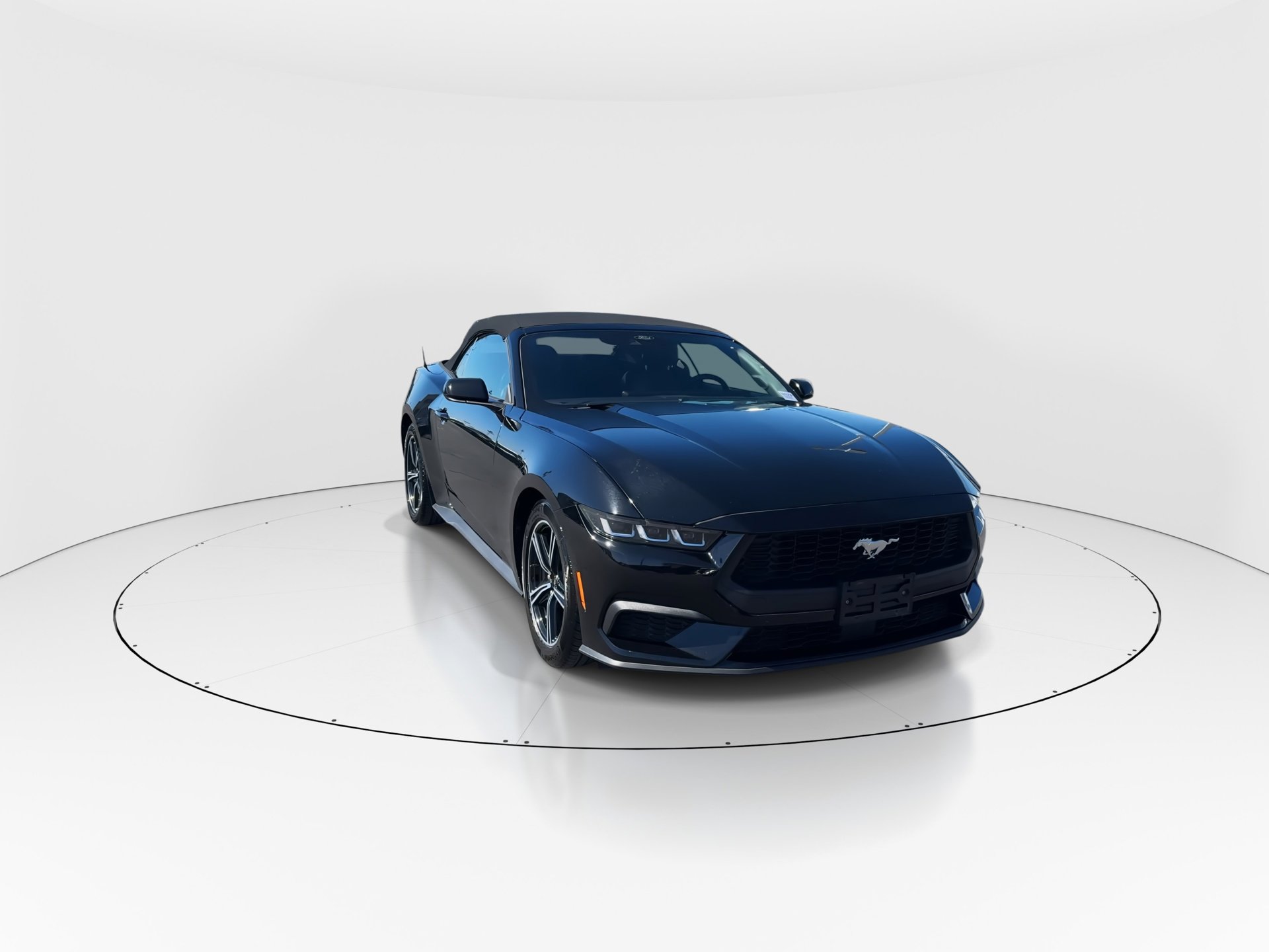 Used 2025 Ford Mustang Premium image 2