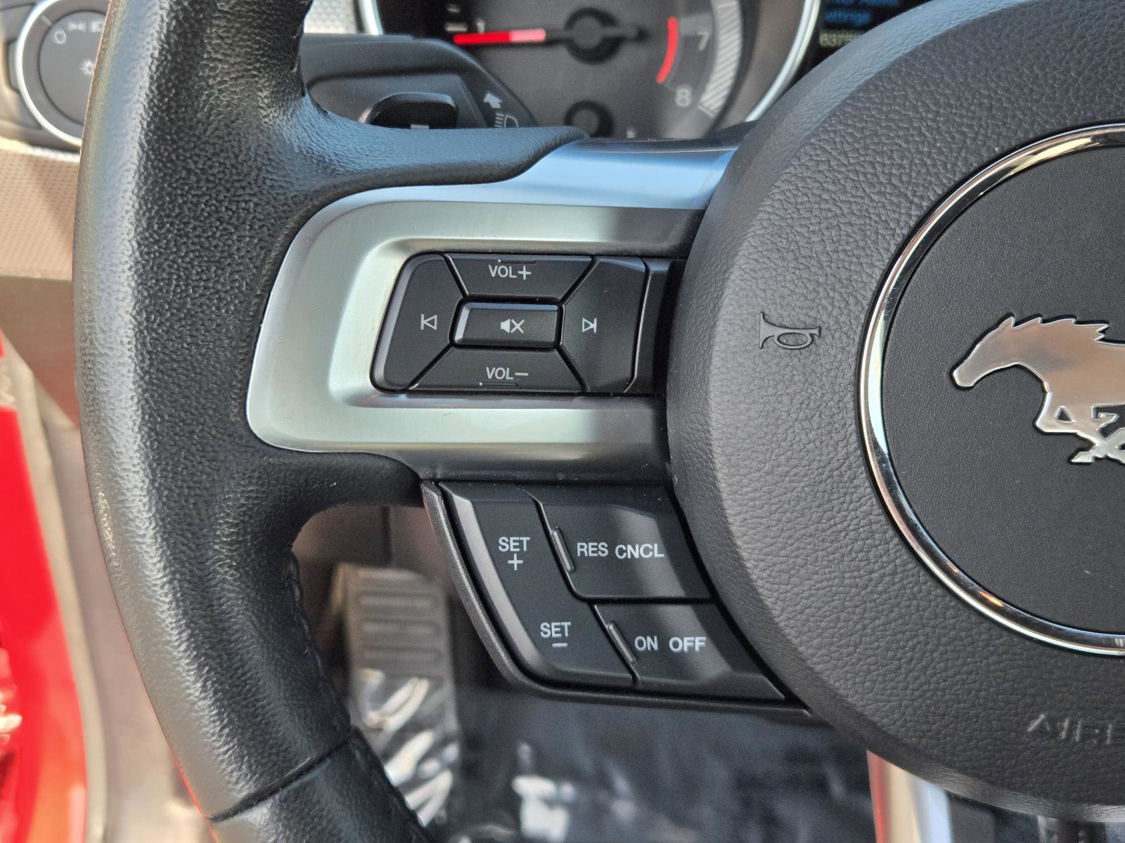 Used 2019 Ford Mustang EcoBoost Fastback RWD w/ Equipment Group 101A image 16