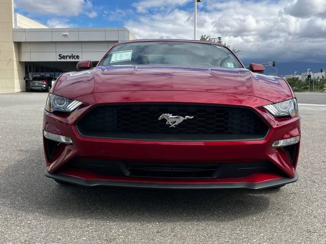 Used 2019 Ford Mustang Premium w/ Ecoboost Performance Package RWD image 3