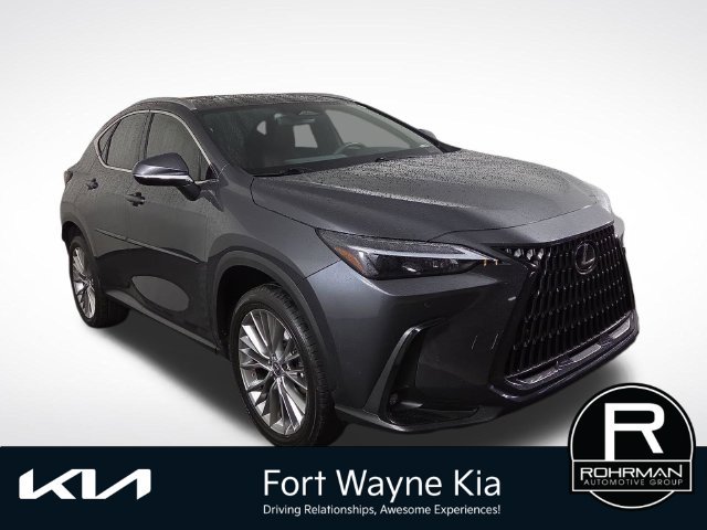 Used 2025 Lexus NX 350h AWD w/ Cold Area Package image 5