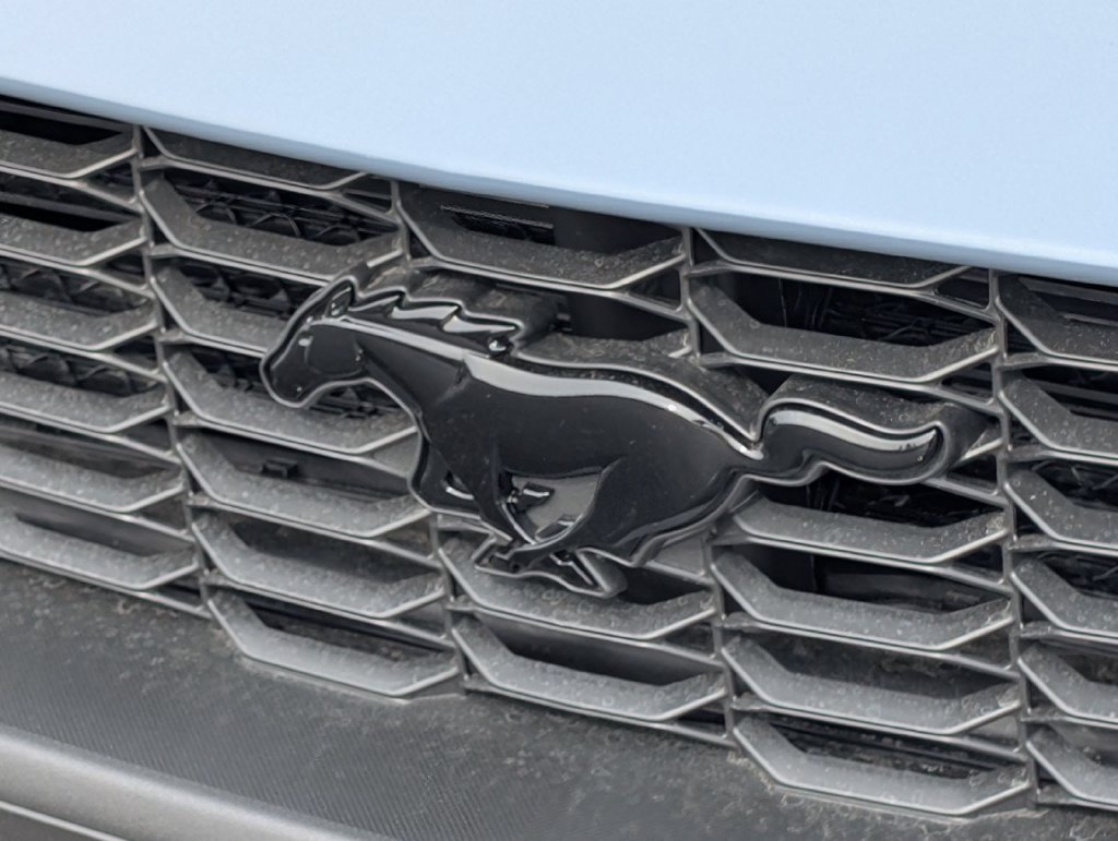 New 2026 Ford Mustang Coupe w/ Mustang Nite Pony Package RWD image 14