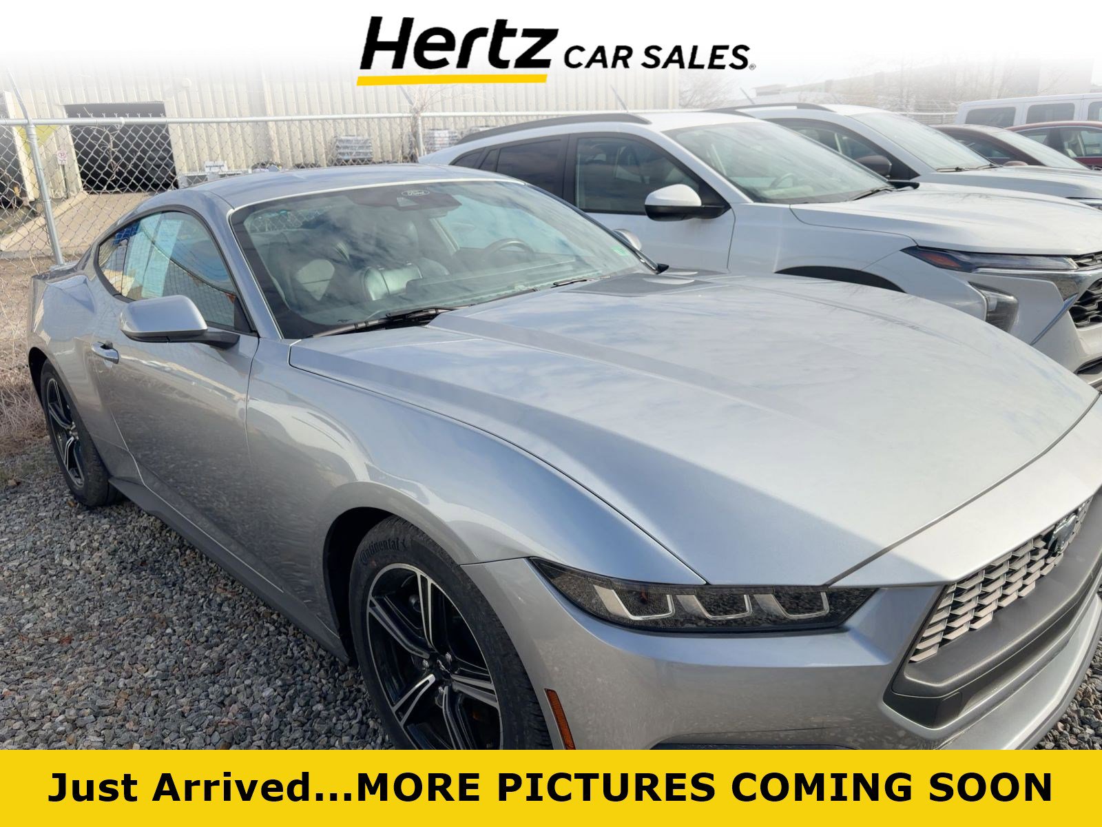 Used 2024 Ford Mustang Premium image 1