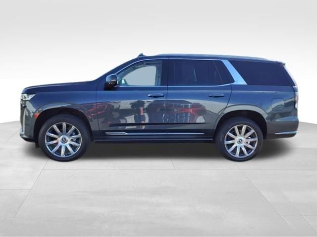 Used 2021 Cadillac Escalade Premium Luxury Platinum image 6