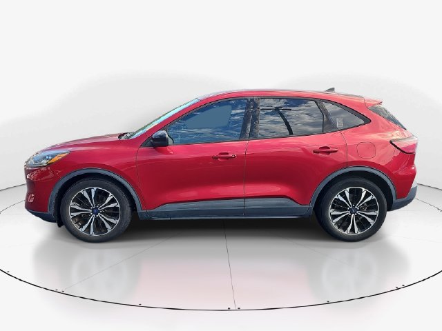 Used 2021 Ford Escape SE w/ SE Sport Appearance Package FWD image 6