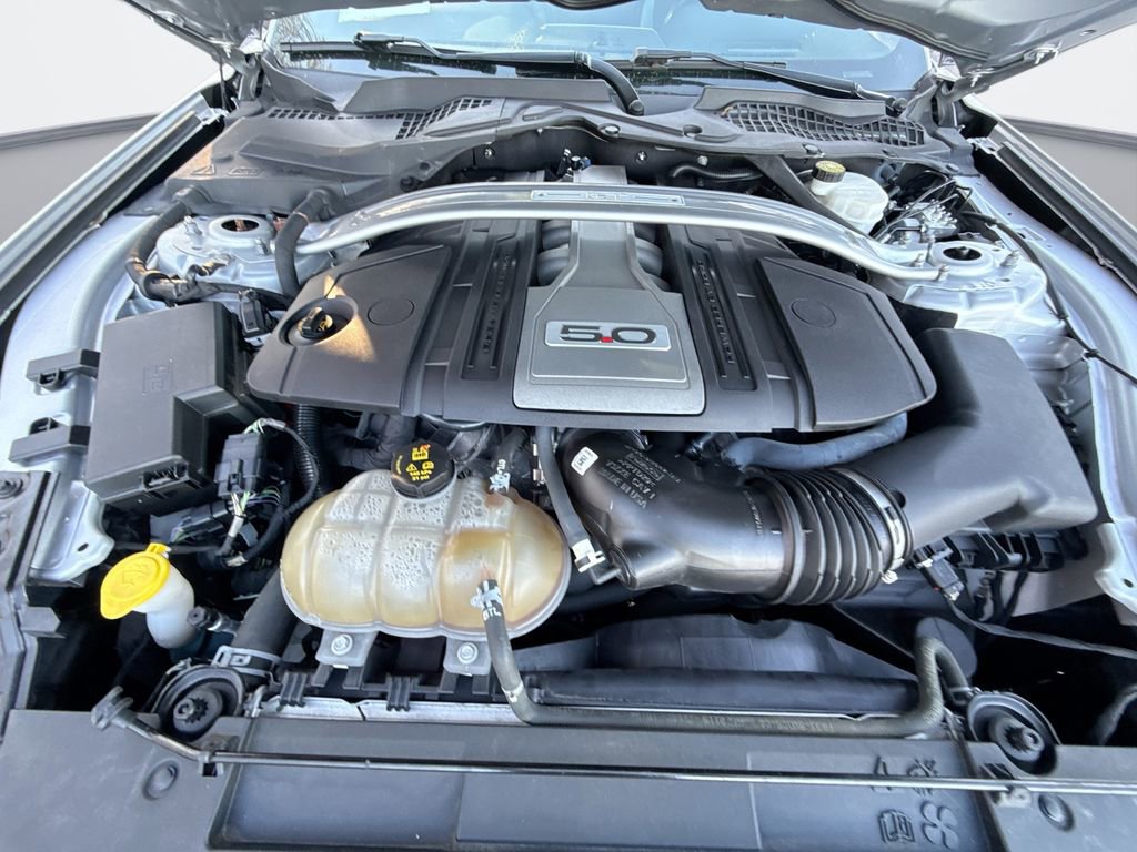 Used 2019 Ford Mustang GT Premium w/ Ford Safe & Smart Package image 17