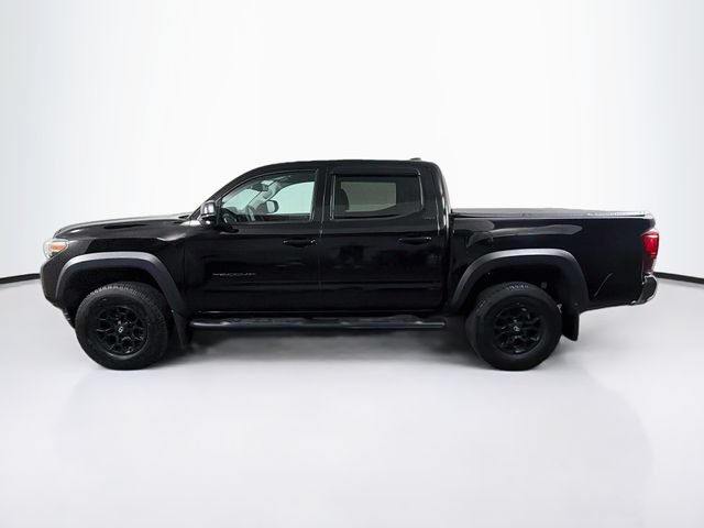 Used 2023 Toyota Tacoma SR5 w/ SX Package AWD/4WD image 5