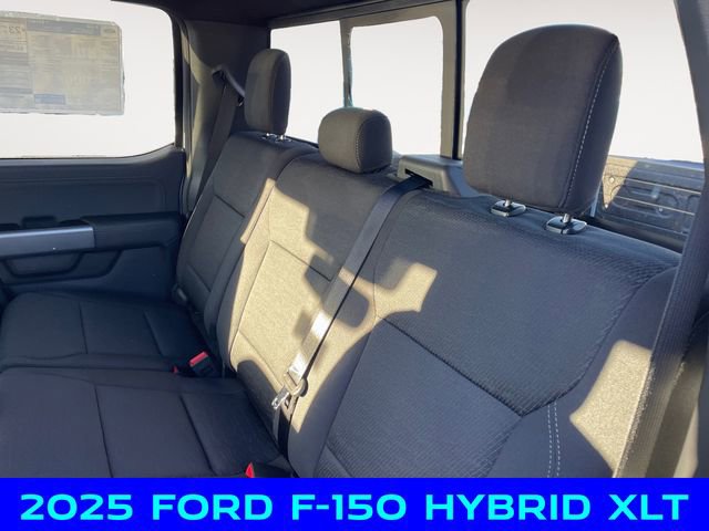 New 2025 Ford F150 XLT w/ Equipment Group 302A MID image 13