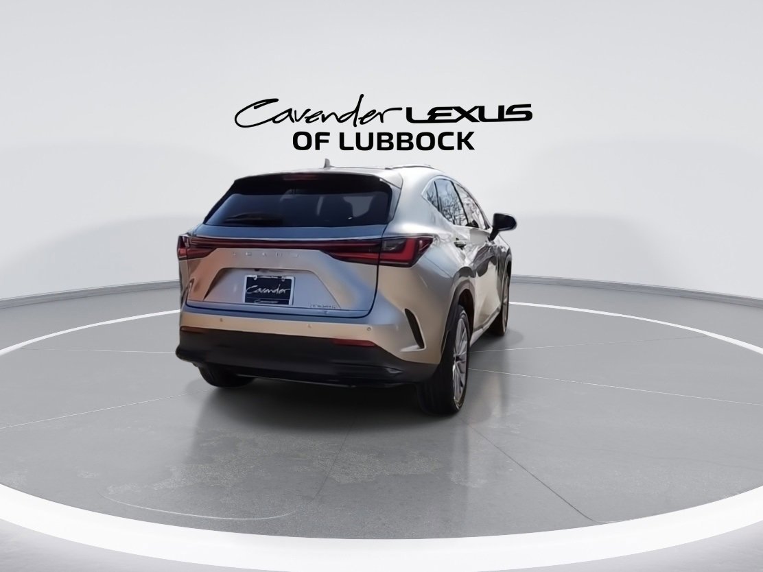 Used 2022 Lexus NX 350h AWD w/ Vision Package image 8