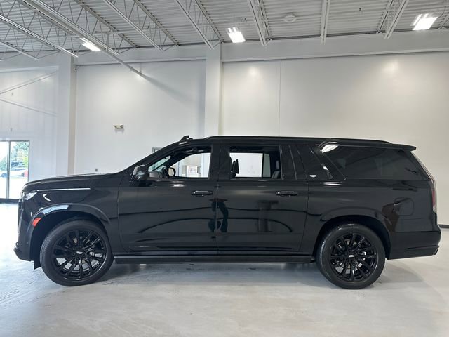 Used 2024 Cadillac Escalade ESV Sport Platinum w/ LPO, ONYX Package image 5