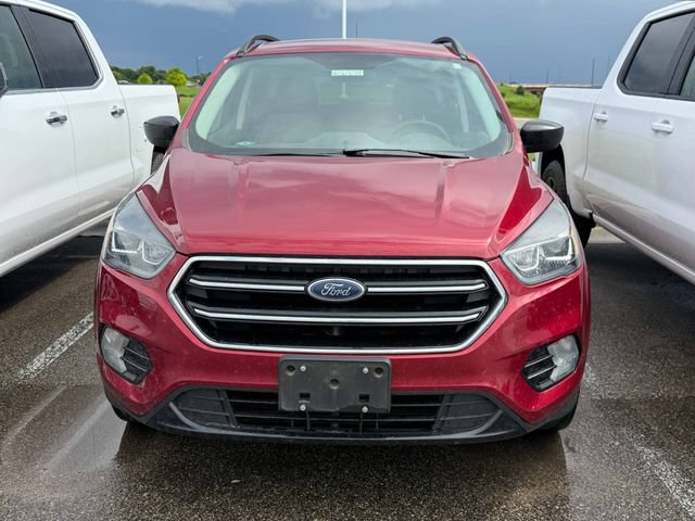 Used 2019 Ford Escape SE AWD/4WD image 2