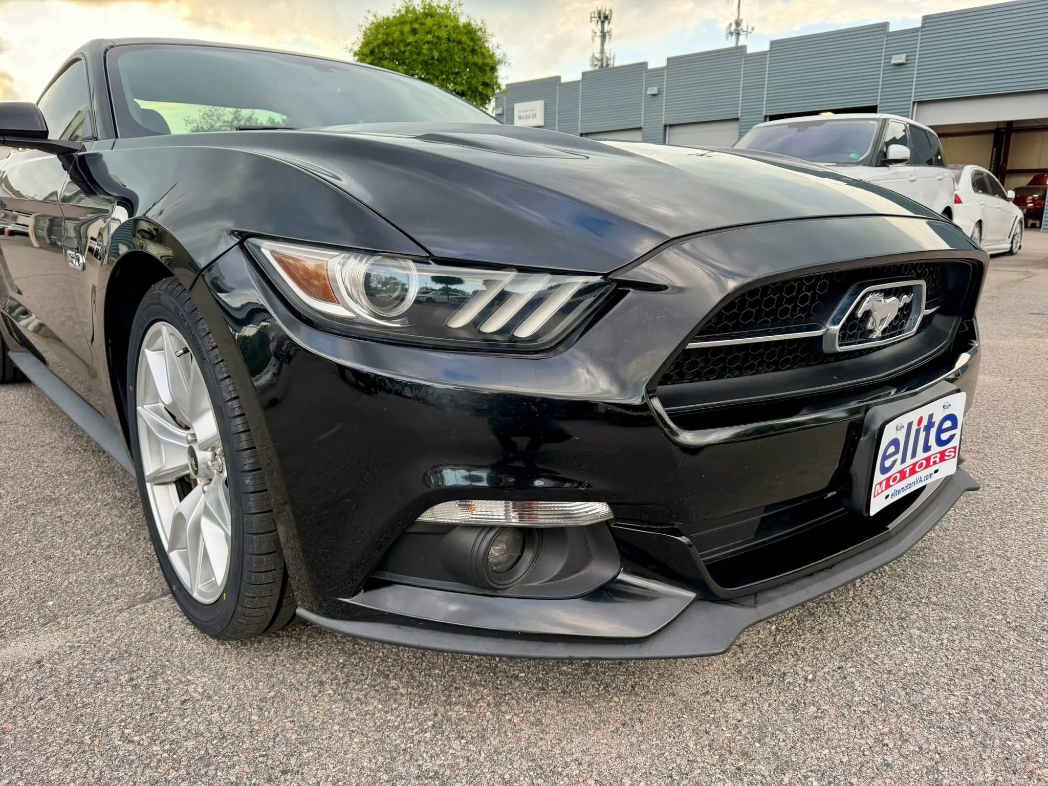 Used 2015 Ford Mustang GT Premium w/ 50 Years Appearance Package RWD image 11