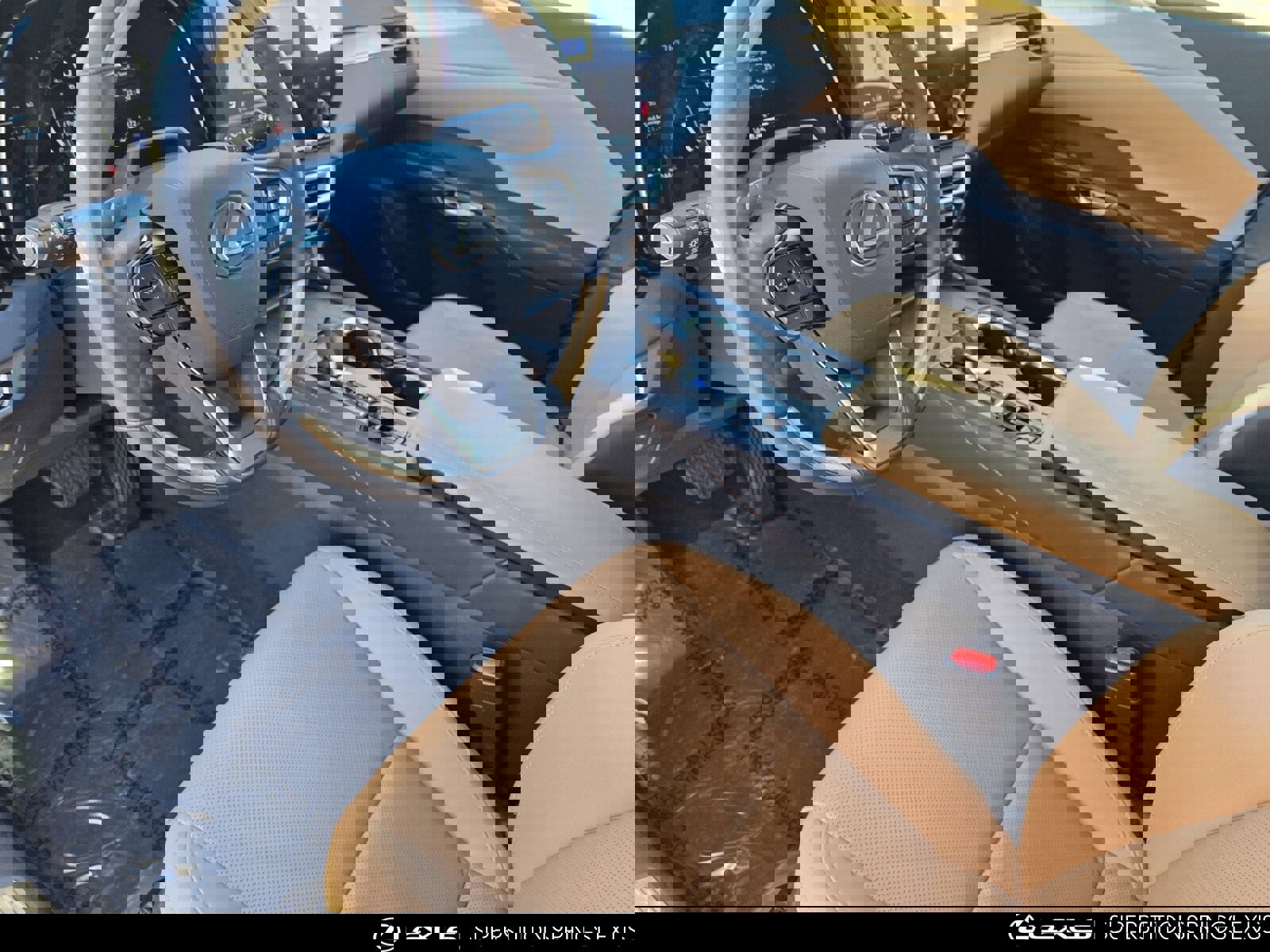 Certified 2025 Lexus RX 350 Premium image 12