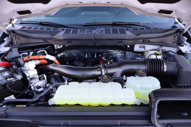 New 2025 Ford F150 XLT w/ Equipment Group 302A MID image 38