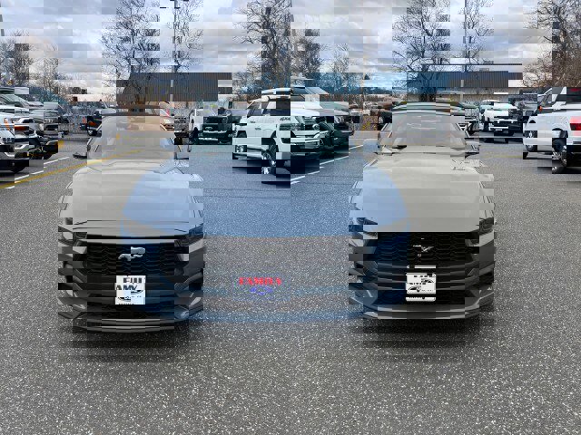 New 2026 Ford Mustang Premium image 52