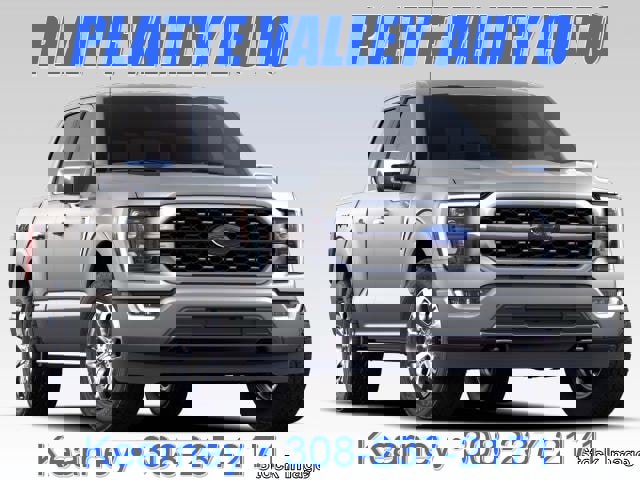 Certified 2021 Ford F150 Platinum w/ Equipment Group 701A High