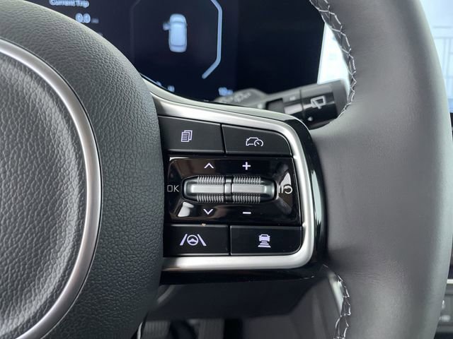 New 2026 Kia Carnival SX Prestige image 31