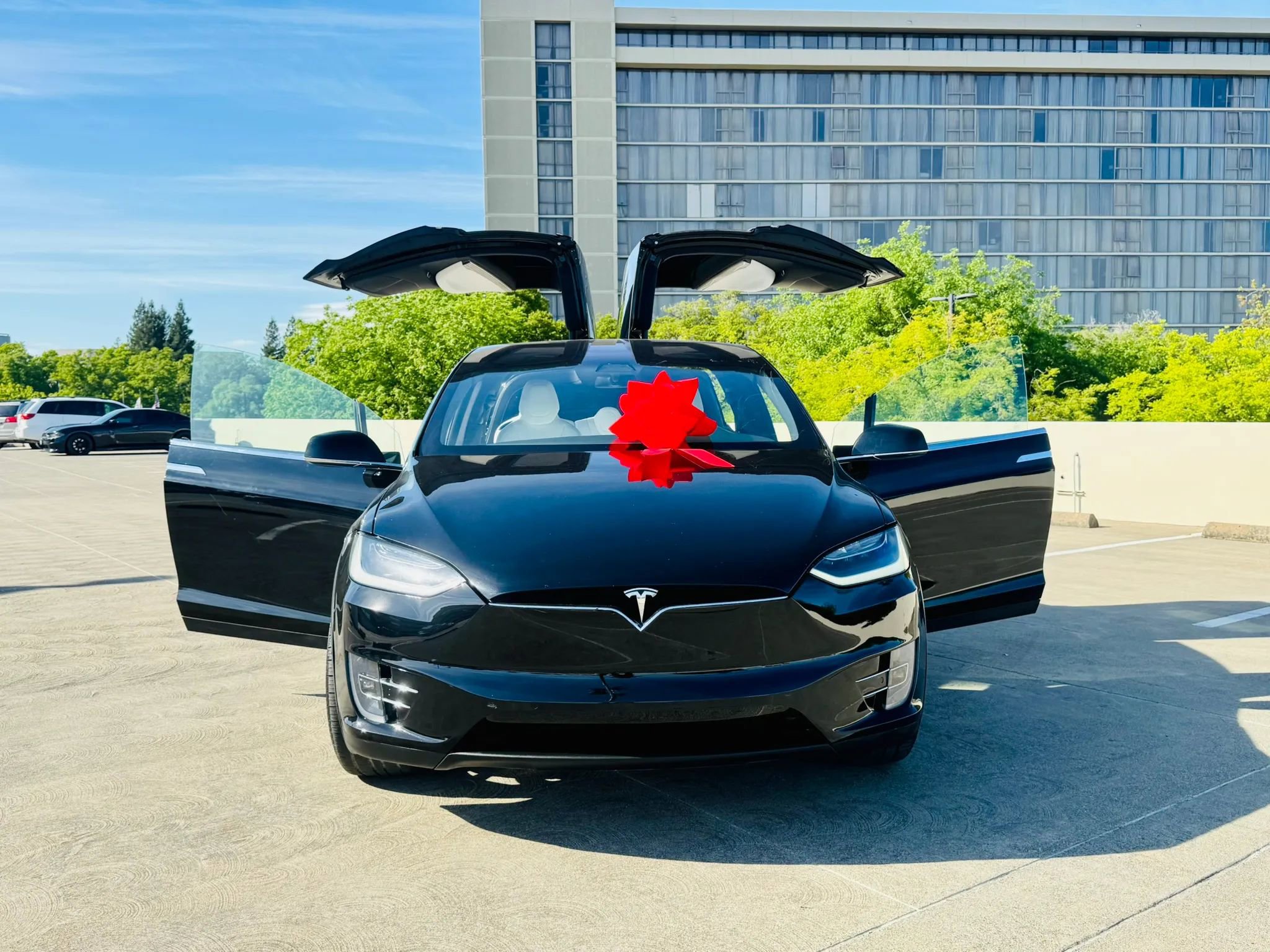 Used 2019 Tesla Model X 100D image 9