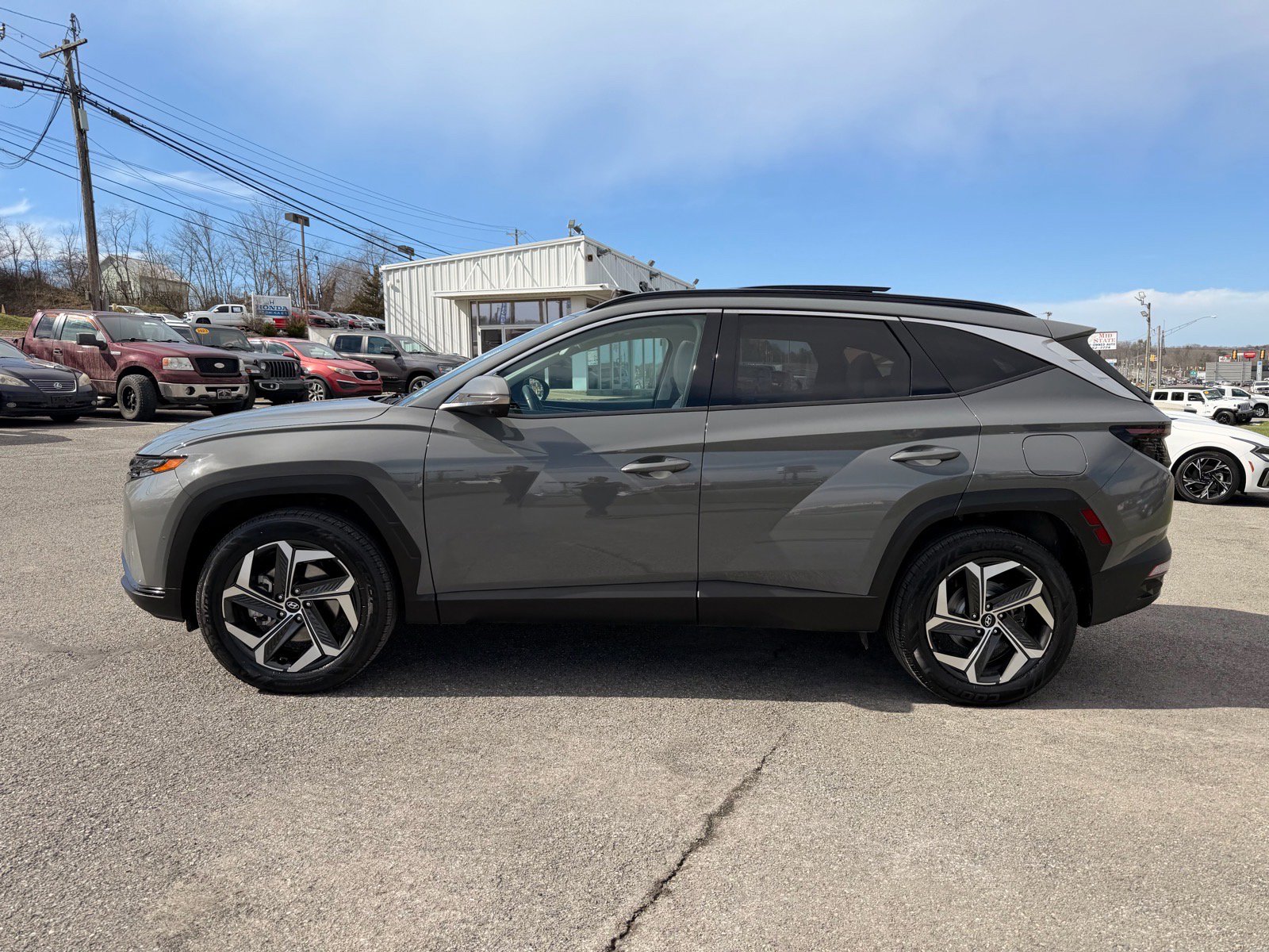Used 2024 Hyundai Tucson Limited AWD/4WD image 3