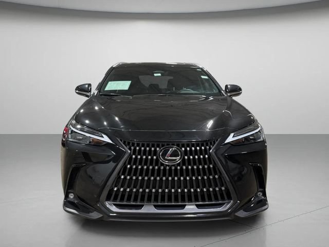 Certified 2024 Lexus NX 350h AWD w/ Cold Area Package image 8