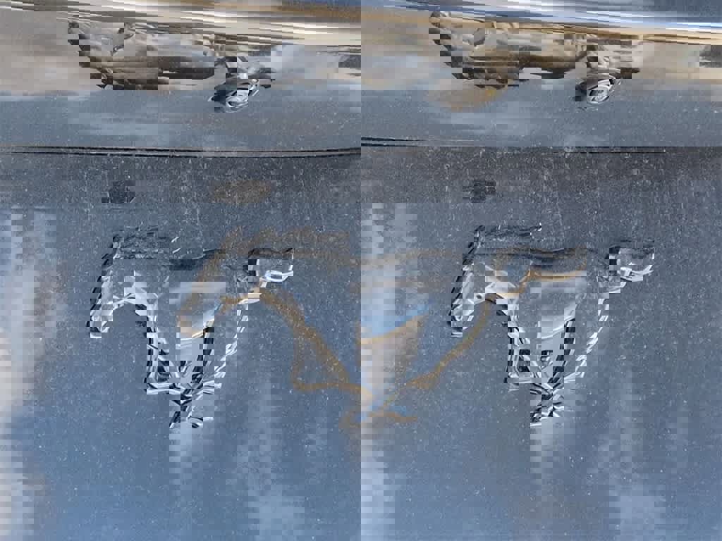 New 2026 Ford Mustang Coupe w/ Mustang Nite Pony Package image 13