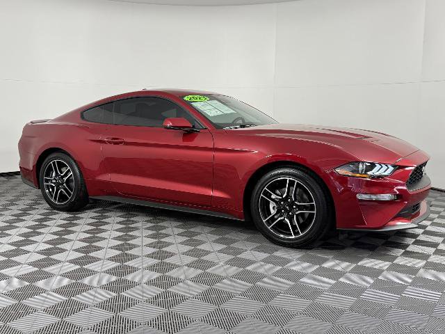 Certified 2023 Ford Mustang Premium w/ Equipment Group 201A