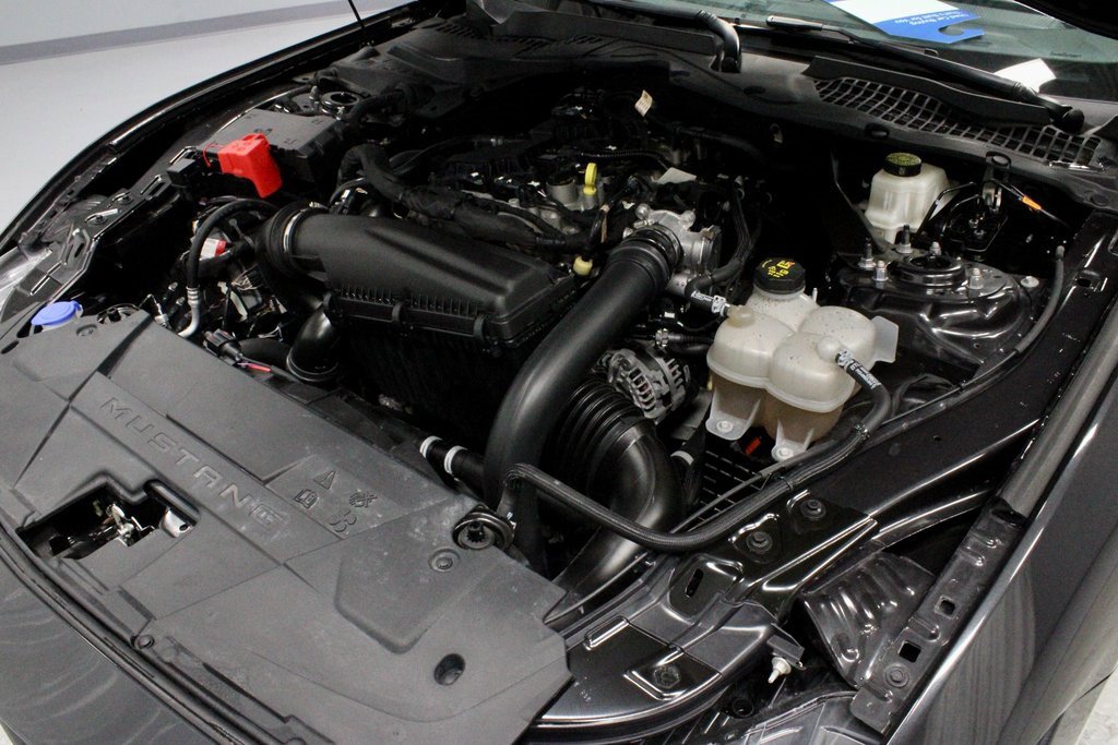 Certified 2024 Ford Mustang Premium image 19