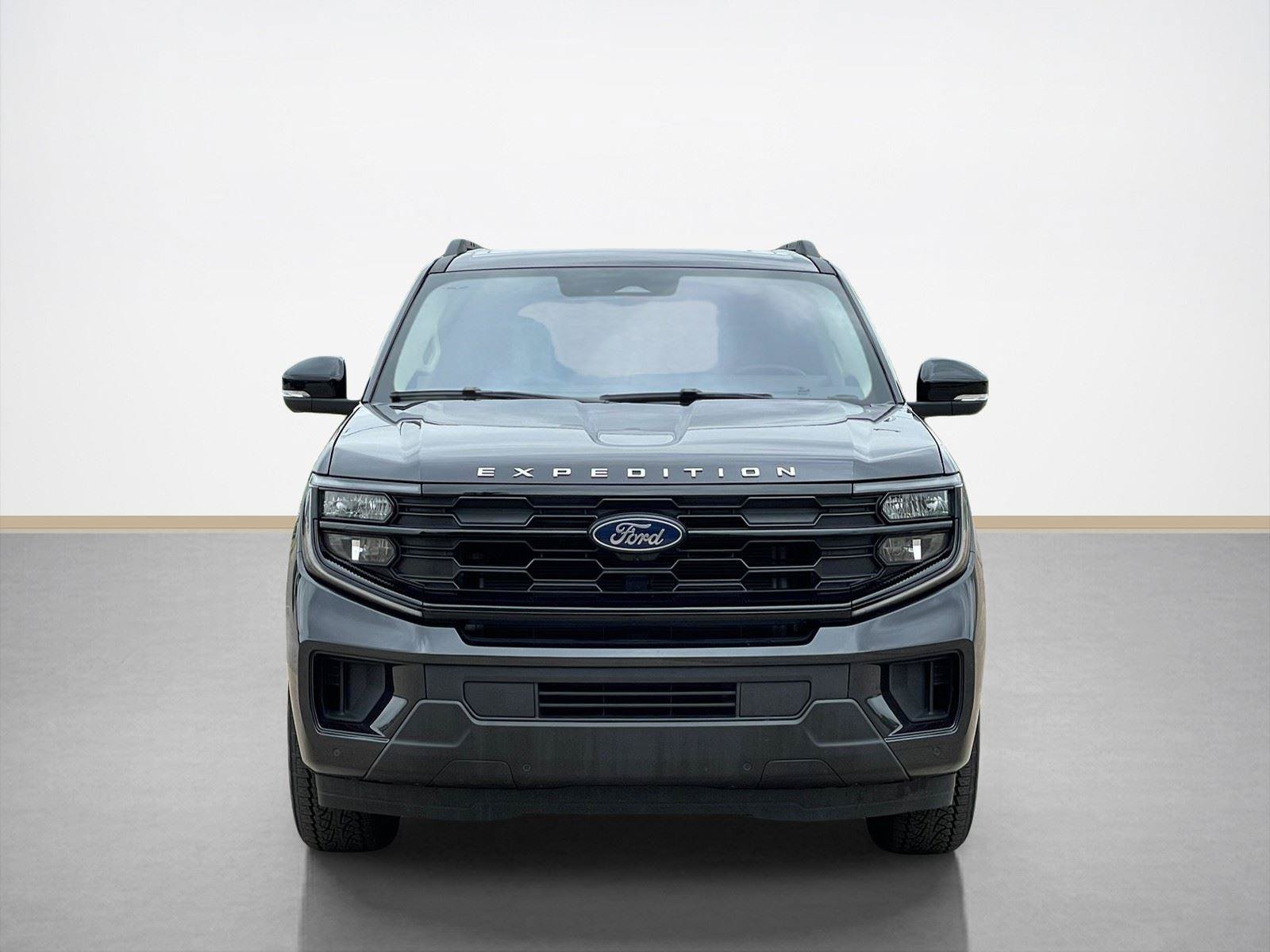 Used 2025 Ford Expedition Active AWD/4WD image 2
