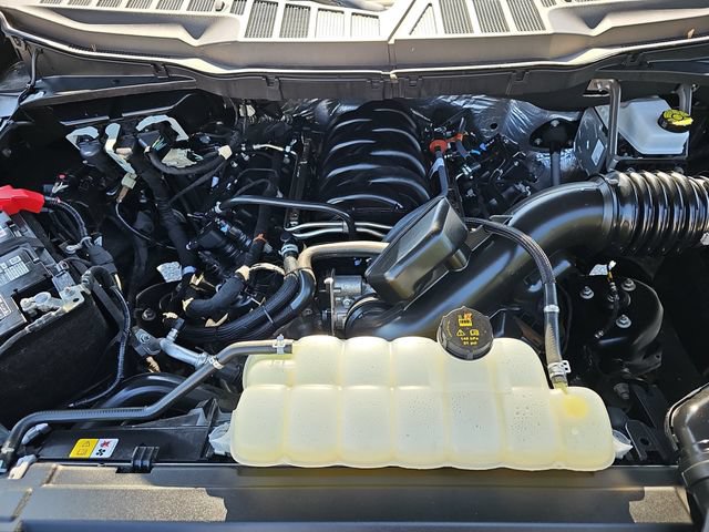 Used 2025 Ford F150 XLT w/ Equipment Group 301A Standard RWD image 30