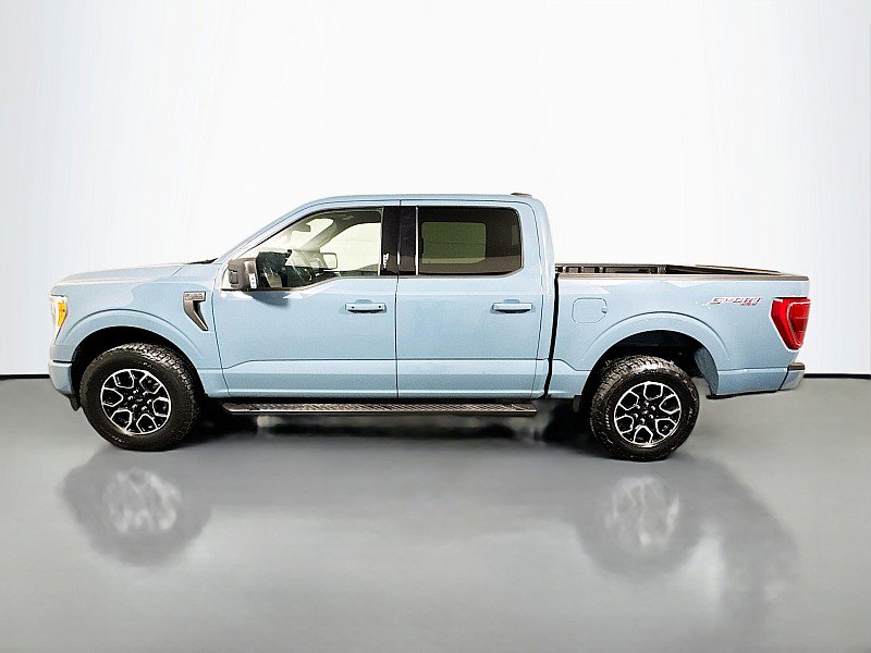 Used 2023 Ford F150 XLT w/ Equipment Group 302A High image 4