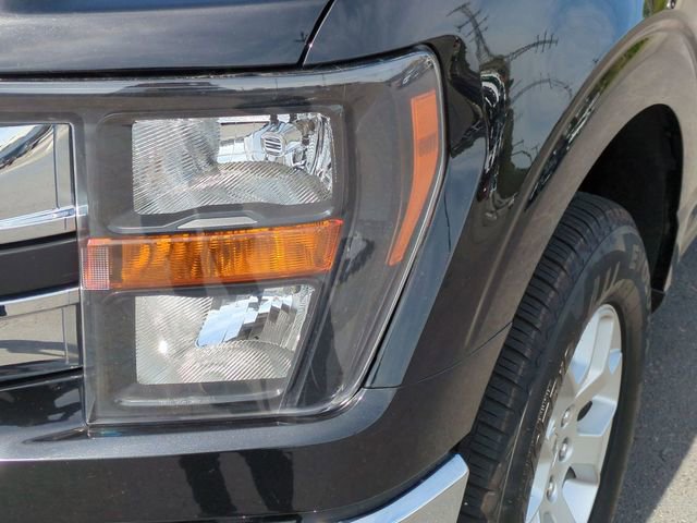 Used 2023 Ford F150 XLT image 9