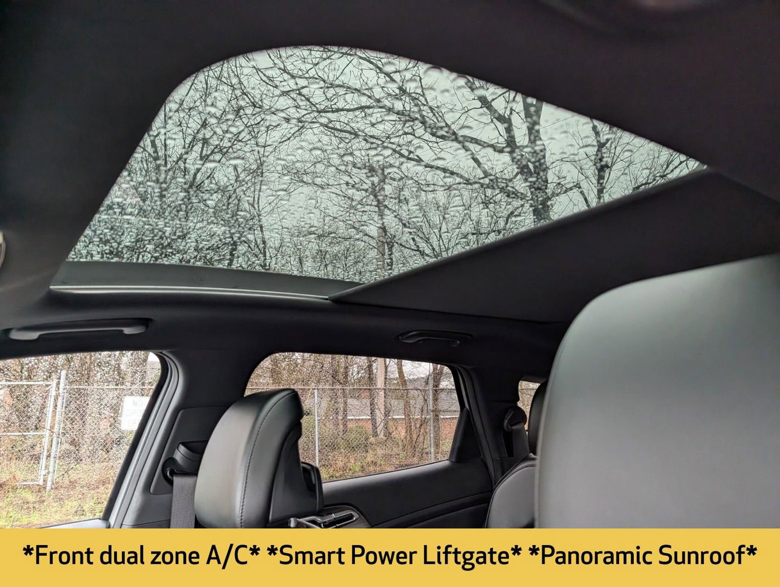 Used 2023 Kia Sportage X-Line w/ X-Line Premium Package image 5